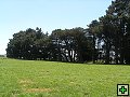 thn_NZ leden-unor 2006 110.jpg